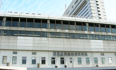 光触媒性能試験