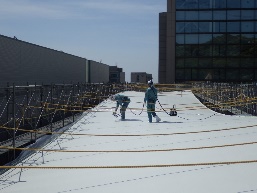 ニフコ横須賀塩ビ防水屋根光触媒塗装工事