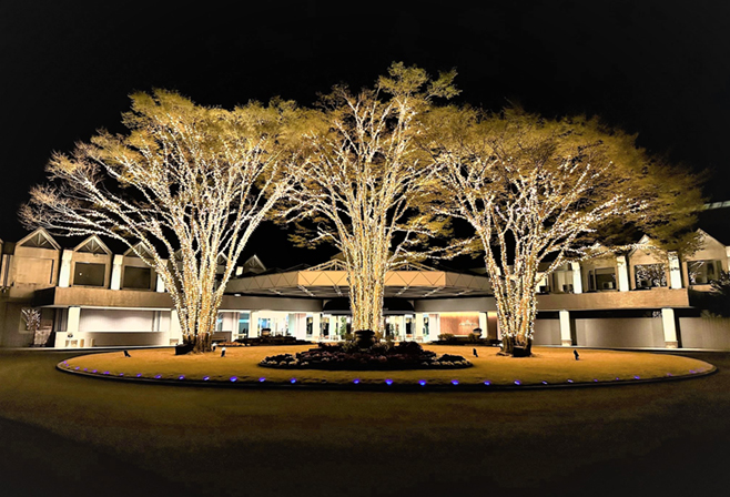 サンヒルズカントリークラブ正面ロータリー樹木イルミネーション復旧工事